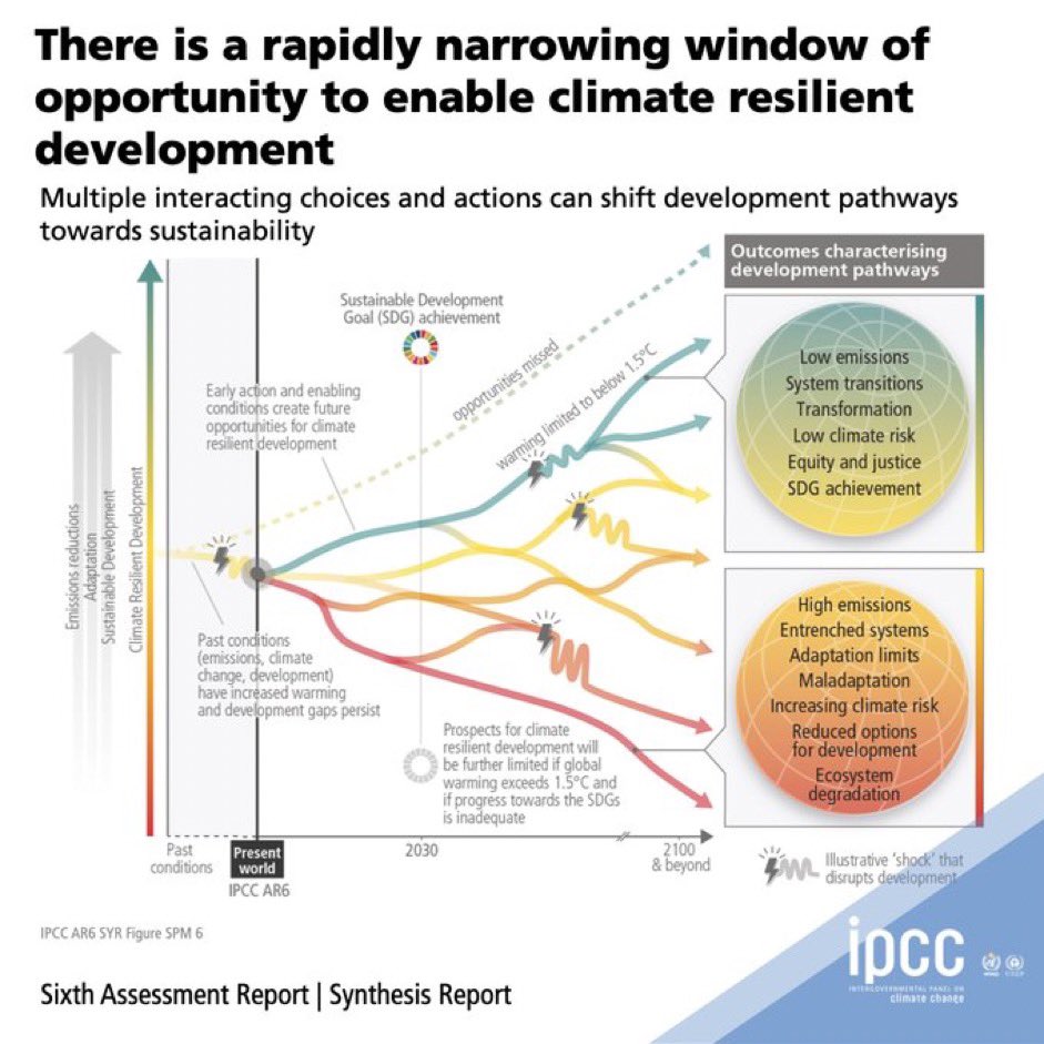 Caring Doctors tweet media