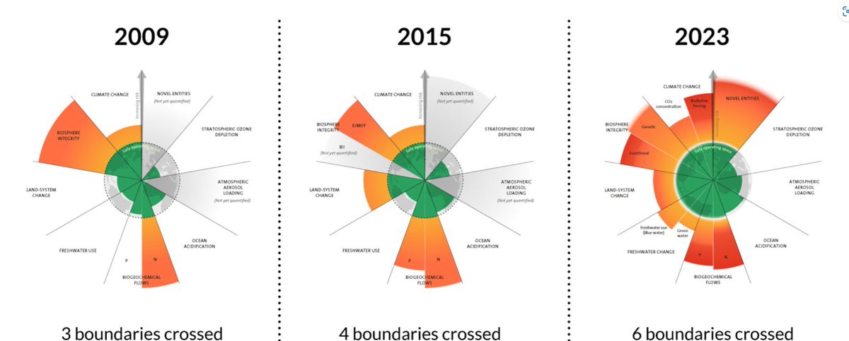 Caring Doctors tweet media