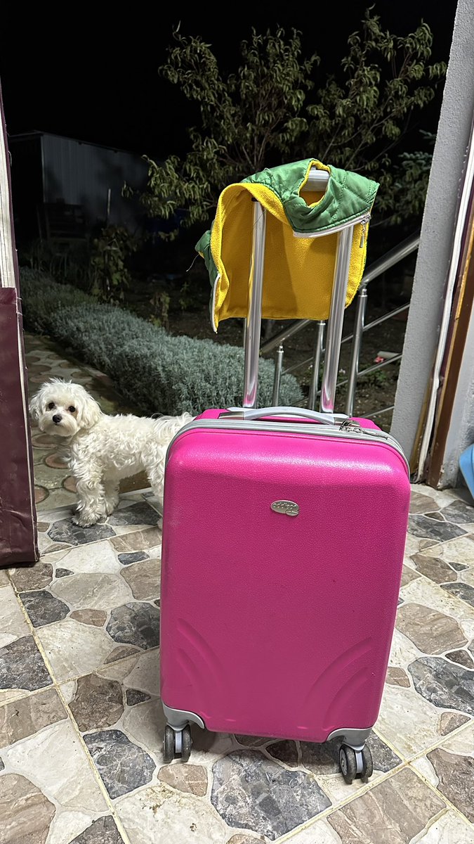 Buralar soğudu ben kaçıyorum 😂😂😂