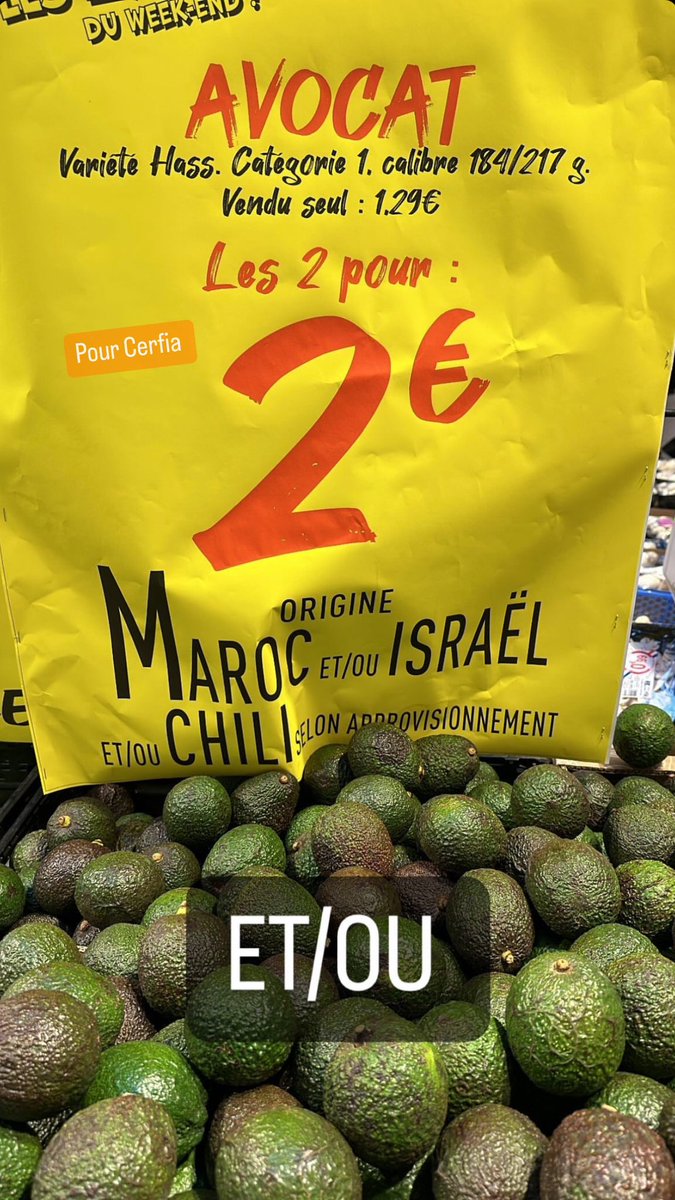 Cerfia tweet media
