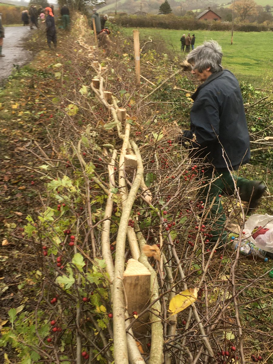 Gethin Davies 🇺🇦 🏴 tweet media