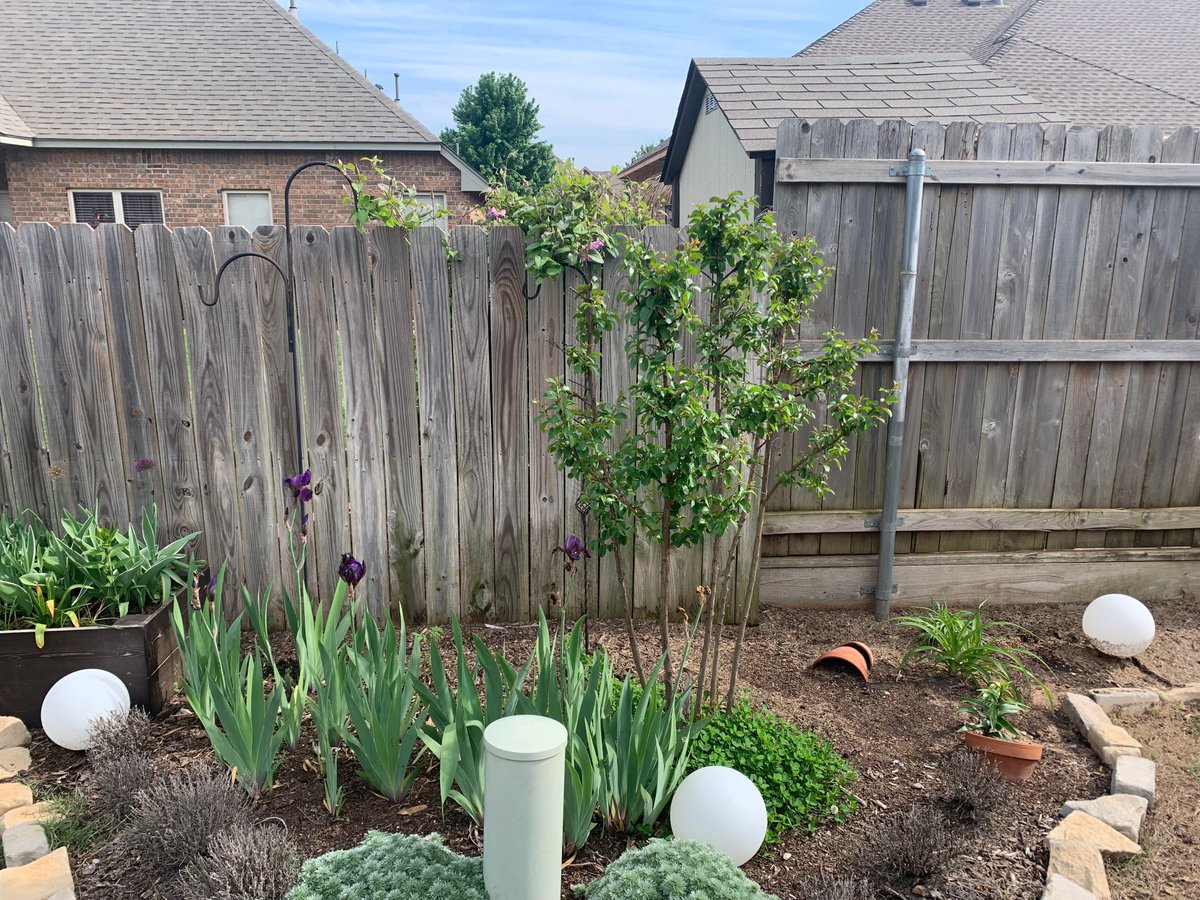 edgeright's tweet photo. "Love the quality of this product. Invested in Corten steel edging to use as a backstop to my neighbor's fence. We have a bad problem with losing soil due to rain runoff. Hoping this new edging will help me keep my soil in my own yard! "-Michael https://t.co/lePqwX0cwu