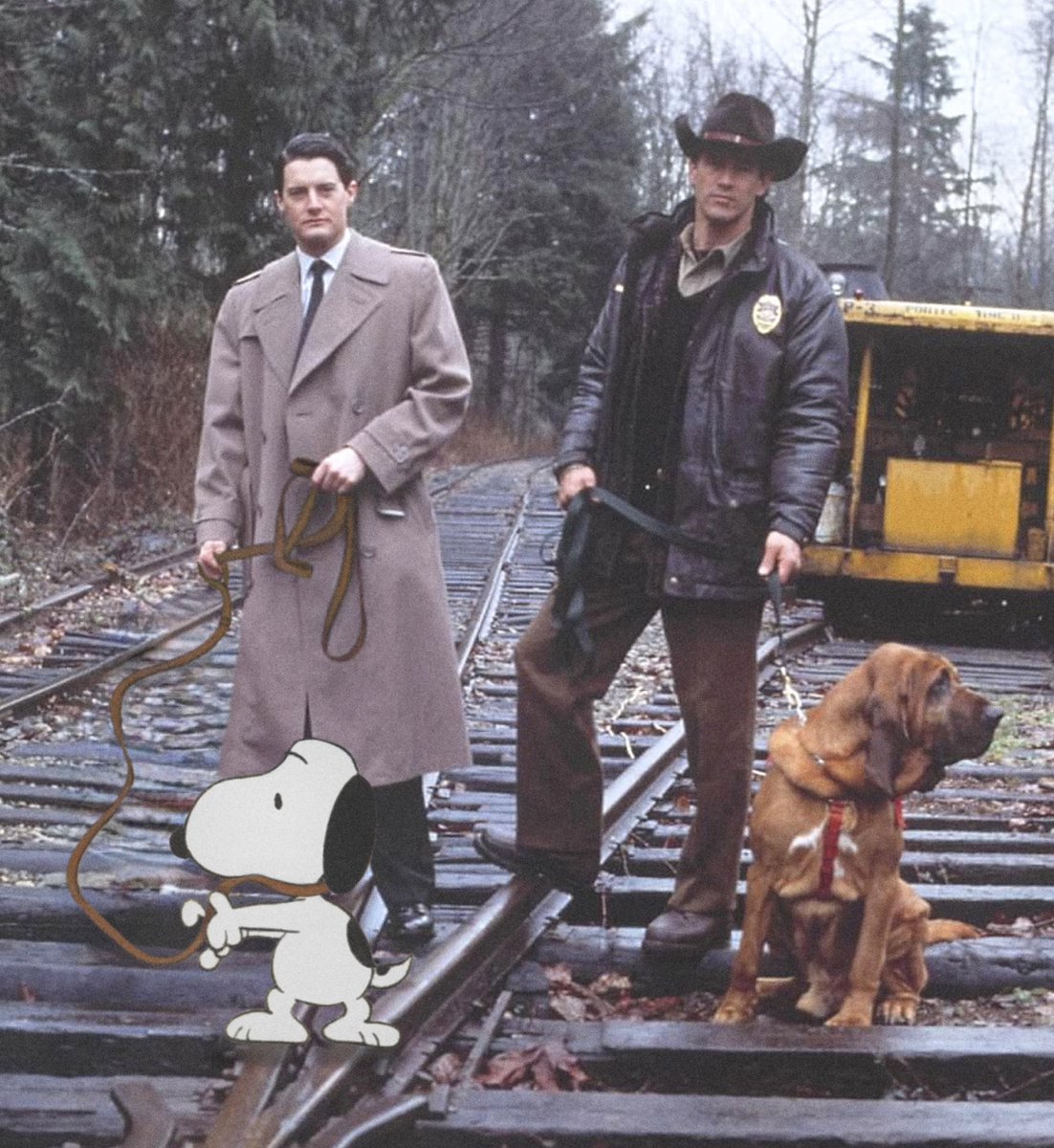 ecto_fun's tweet image. 