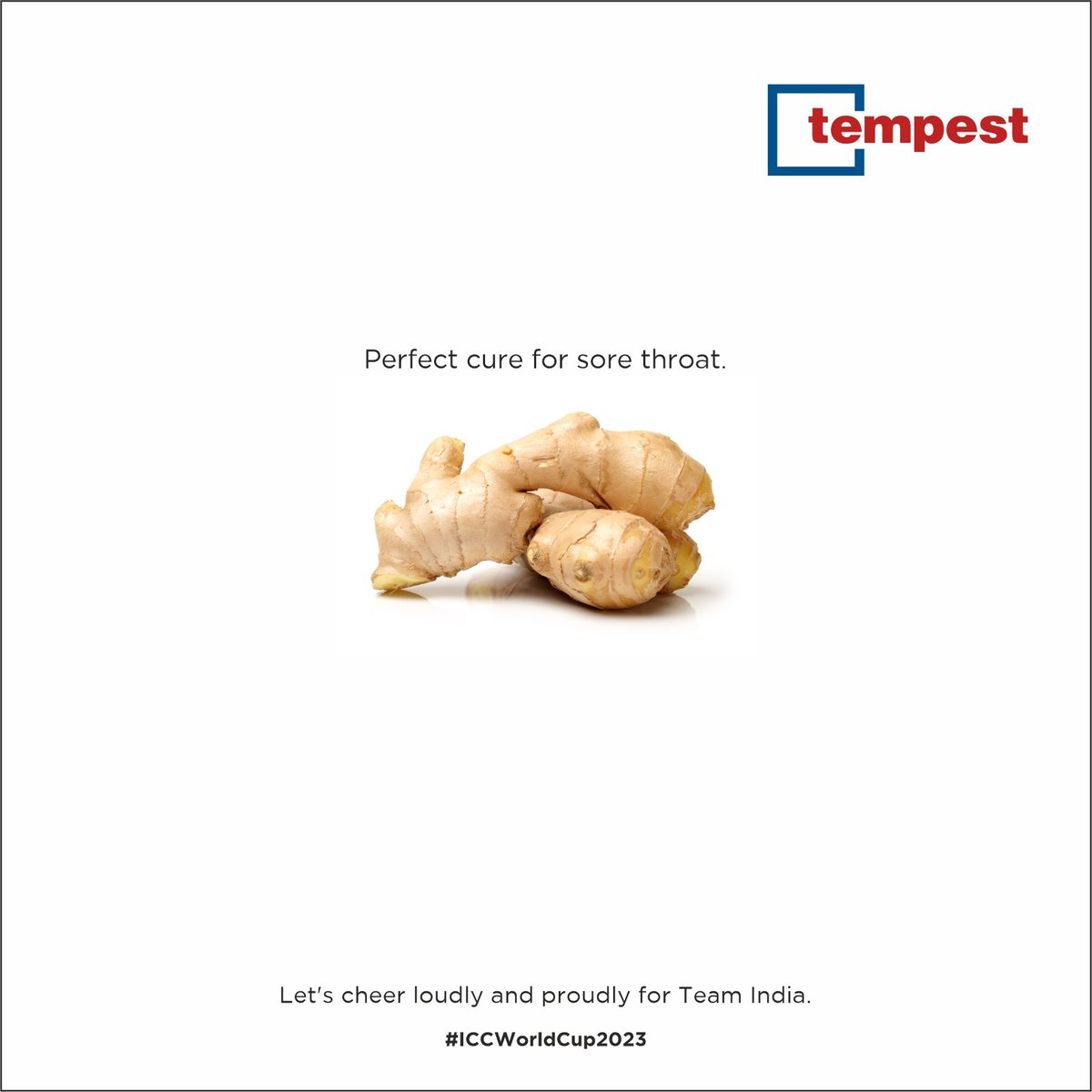 TempestAdv's tweet photo. Loud. Proud. Loyal. It is with great spirit that Team Tempest supports Team India, cheering them on in their quest for victory and glory.
#iccworldcupindia #cricketworldcup #cricket #ipl #worldcup #cricketmatch #Tempestadvertising #DigitalMarketing #PrintMedia #Branding https://t.co/hsPnW7UScp