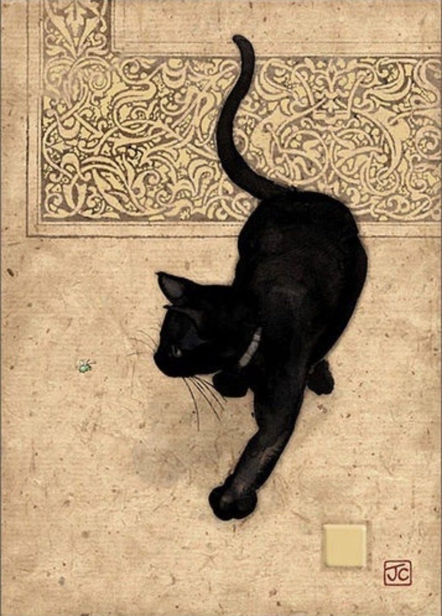 Jane Crowther 
Black cat