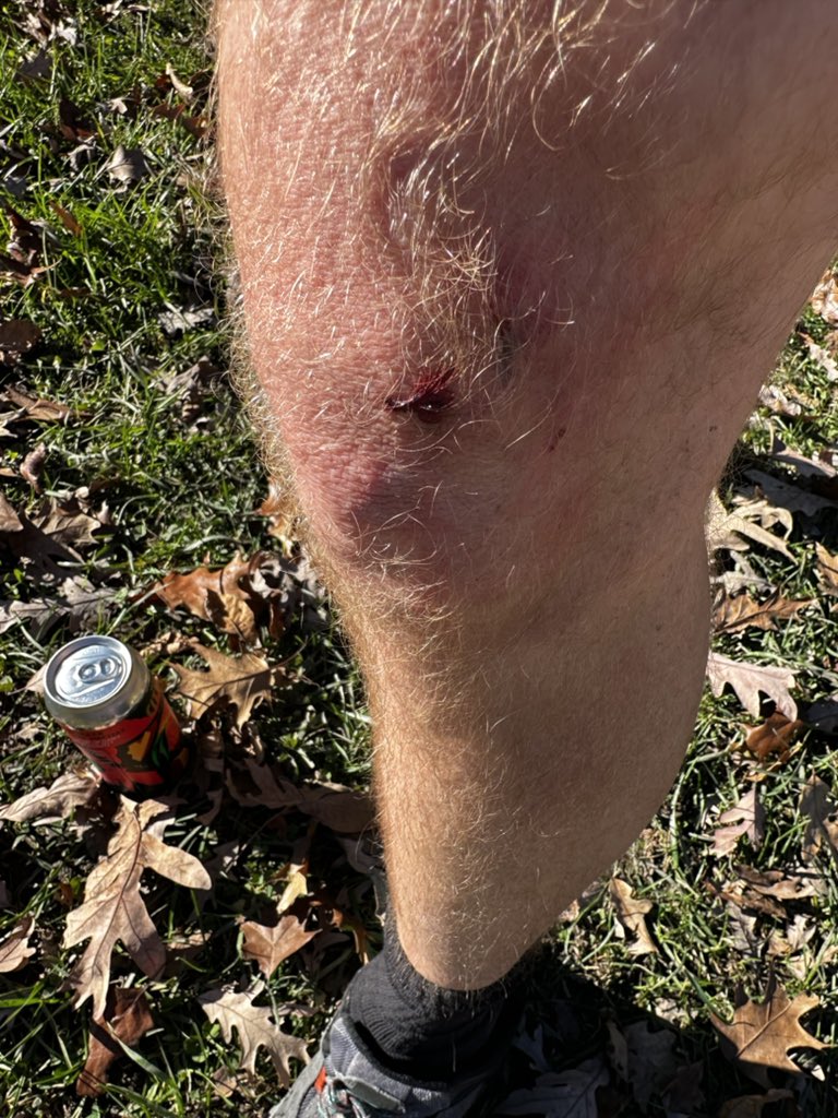 sdonoghue48's tweet photo. Not too shabby all things considered. The always fun @UniversalSole November Trail Challenge at Palos. #Usole #runCHI #AlwaysTrail https://t.co/DdiMf9GI0J