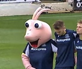 MascotSilence's tweet image. Southend United’s Sammy the Shrimp