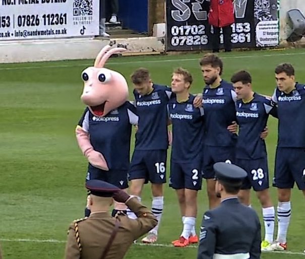 MascotSilence's tweet image. Southend United’s Sammy the Shrimp