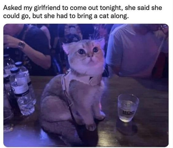 WholesomeMeme's tweet photo. https://t.co/aAGuzqhlsc