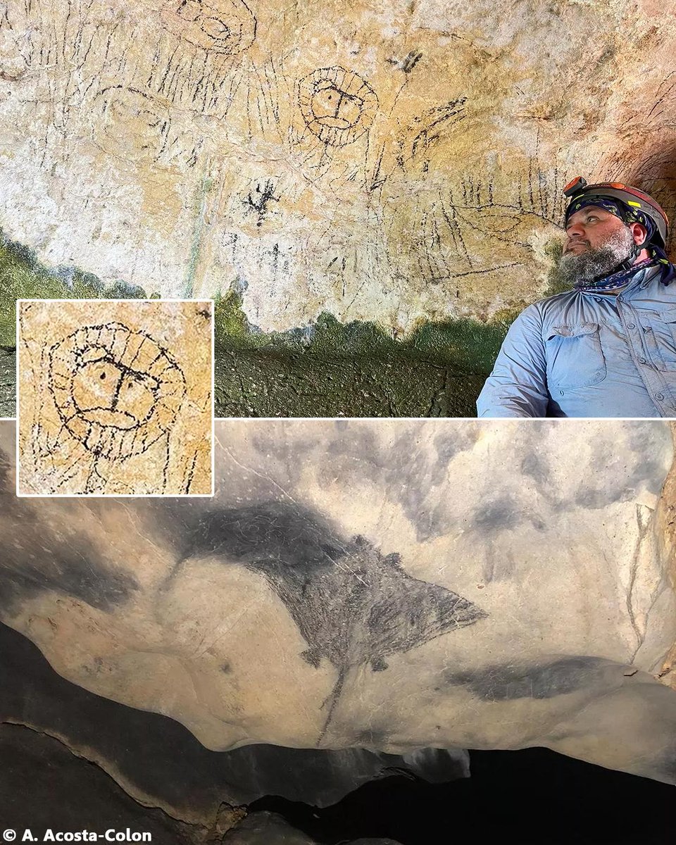 Mysterious drawing of a lion in Puerto Rican cave may have been made by an enslaved African Continue Reading: archaeologymag.com/2023/11/drawin… #archaeology #puertorico #ancientworld #rockart