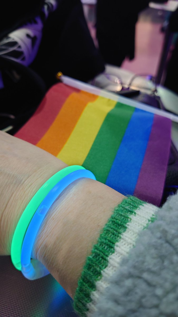 @Louis_Tomlinson if anyone doubts the fandom, I'll fight them. These were given to me by fans inside the venue 💙💚🌈 xx #bestfansever