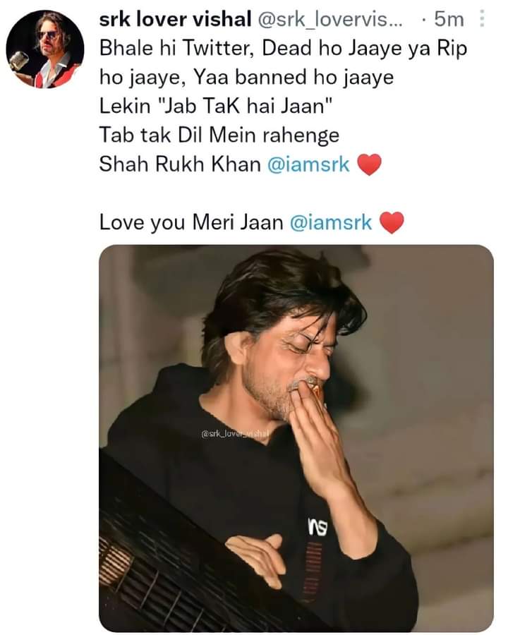 1 year ago, 
My  Tweet  About #RIPTwitter
'Jab Tak Hai Jaan' Tab Tak 
Shah Rukh Khan  ❤️

#ShahRukhKhan𓀠 #SRK #loveyou #srklover #Jabtakhaijaan #srklovervishal