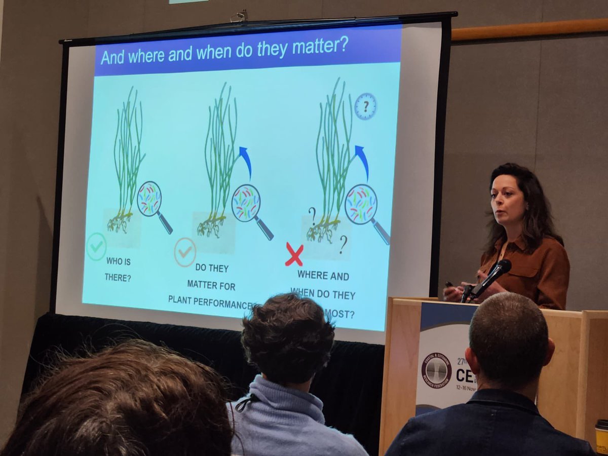 On the way back to Sydney after a week of science at #CERF2023. Thank you @CERFScience for a great conference and for letting me present some of my PhD work on #seagrass and their belowground #microbiome 🦠@GribbenLab @ZiggyMarzinelli @unswcmsi