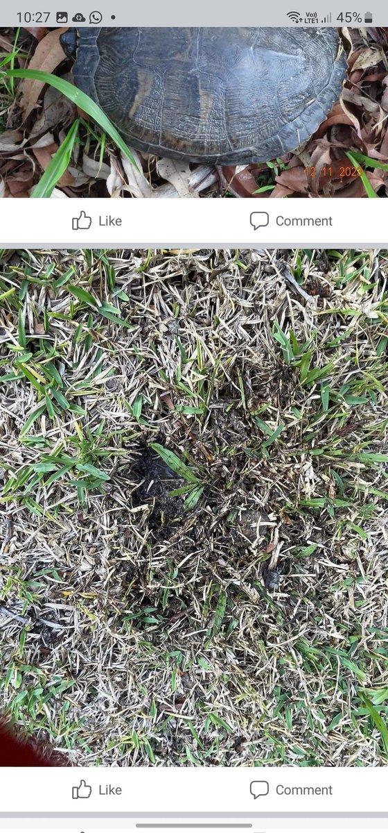 Prof Ricky Spencer 🆒️ tweet media