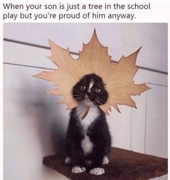WholesomeMeme's tweet photo. https://t.co/RB6UjH2l3g