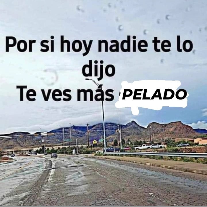 lola (@zenifem) on Twitter photo 