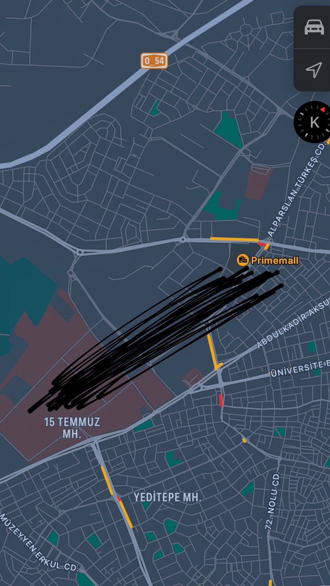 Üzerine çip takılan gaün öğrencisinin 1 yıllık rotası