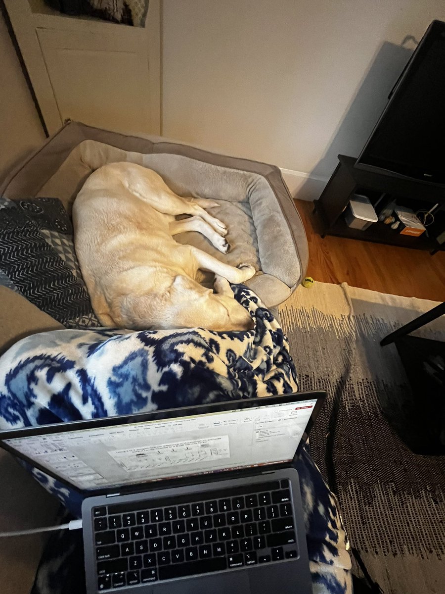 Qualifying exam season is tough, but it’s made much better when you can work on your slides from the couch with a cup of tea and the worlds best buddy. Yes, he had a bed and a pillow on the couch!