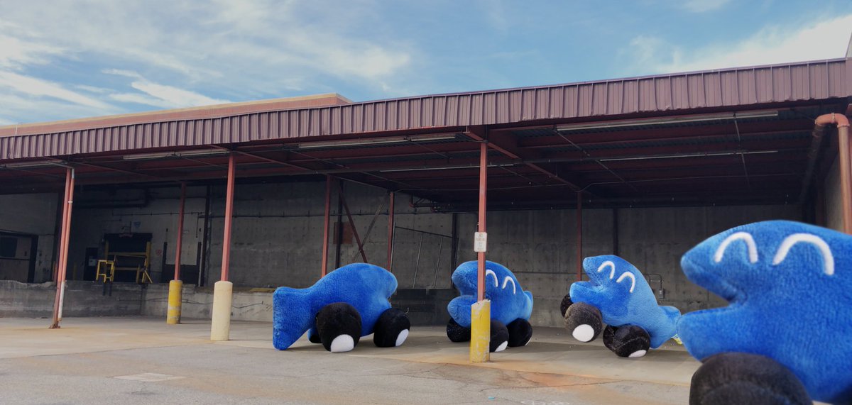 itemLabel's tweet photo. ya ever see this many fish cars congregating in one place before? https://t.co/kbZMlE8IQe