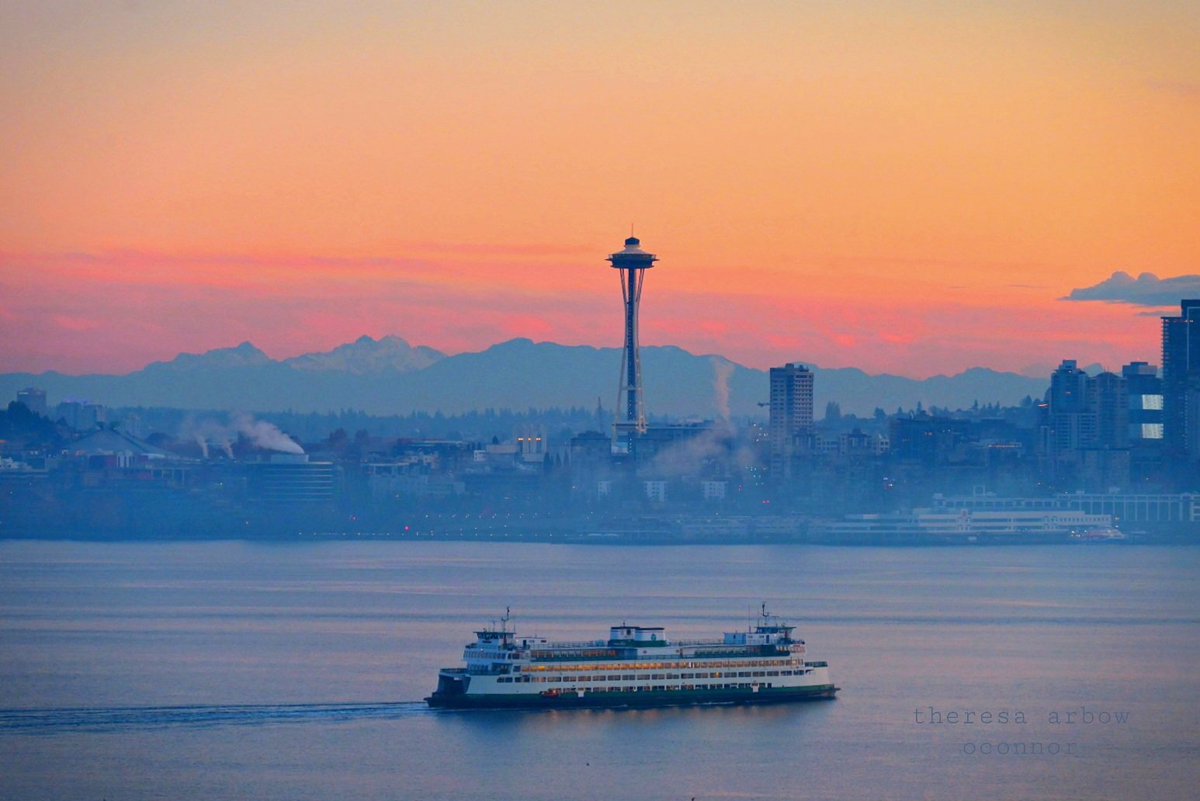 TheresaArbowOC's tweet image. Pretty foggy glow this morning!  Cheers to a wonderful weekend ♡