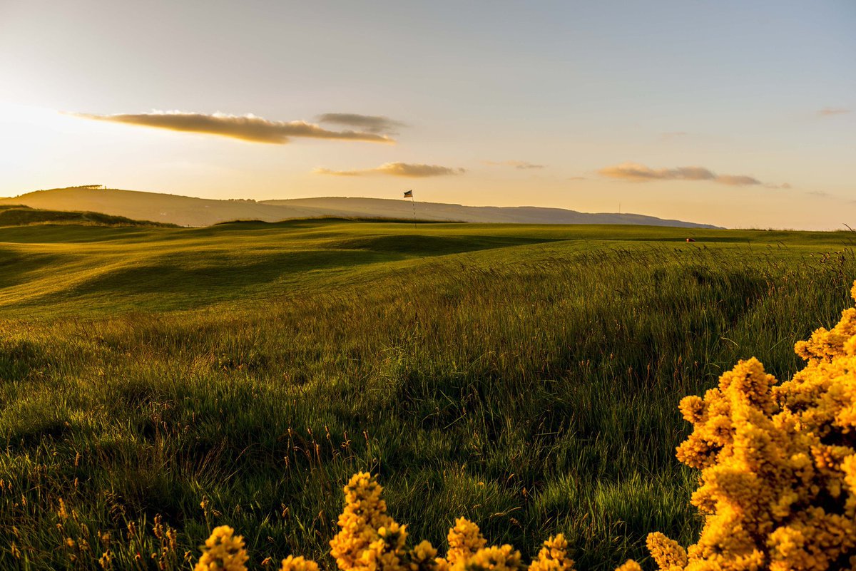 North of Scotland for golf in ‘24 ? Include 1 of the UK’s highest ranked courses @RoyalDornochGC ❤️ 3 nts quality hotel 4 x links golf 👇 @TainGolfClub ⛳️ Dornoch: Struie ⛳️ Dornoch : Championship ⛳️ @FortroseGC1793 ⛳️ Costs = £799pp info@ayrshiregolf.com