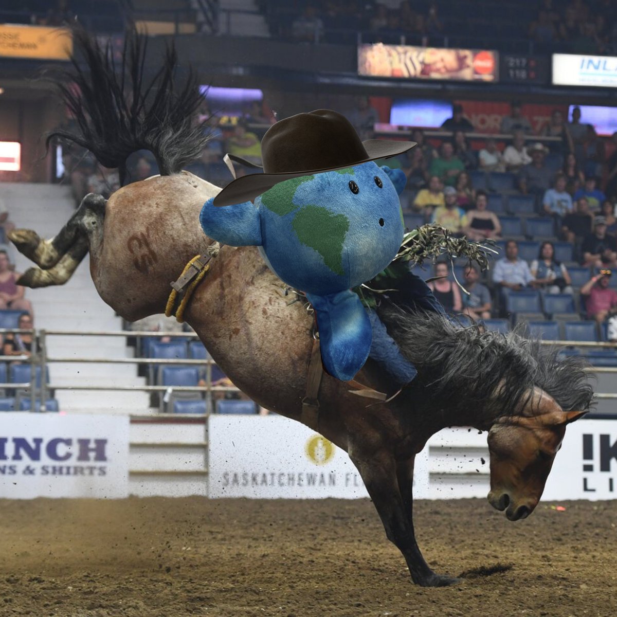 🌟 Howdy, CWA go-ers! 🤠 We're over the moon to host visitors from across Canada and around the globe over the next two weeks! 🌾🐮

Head to the link in our bio for all things CWA! 🔗