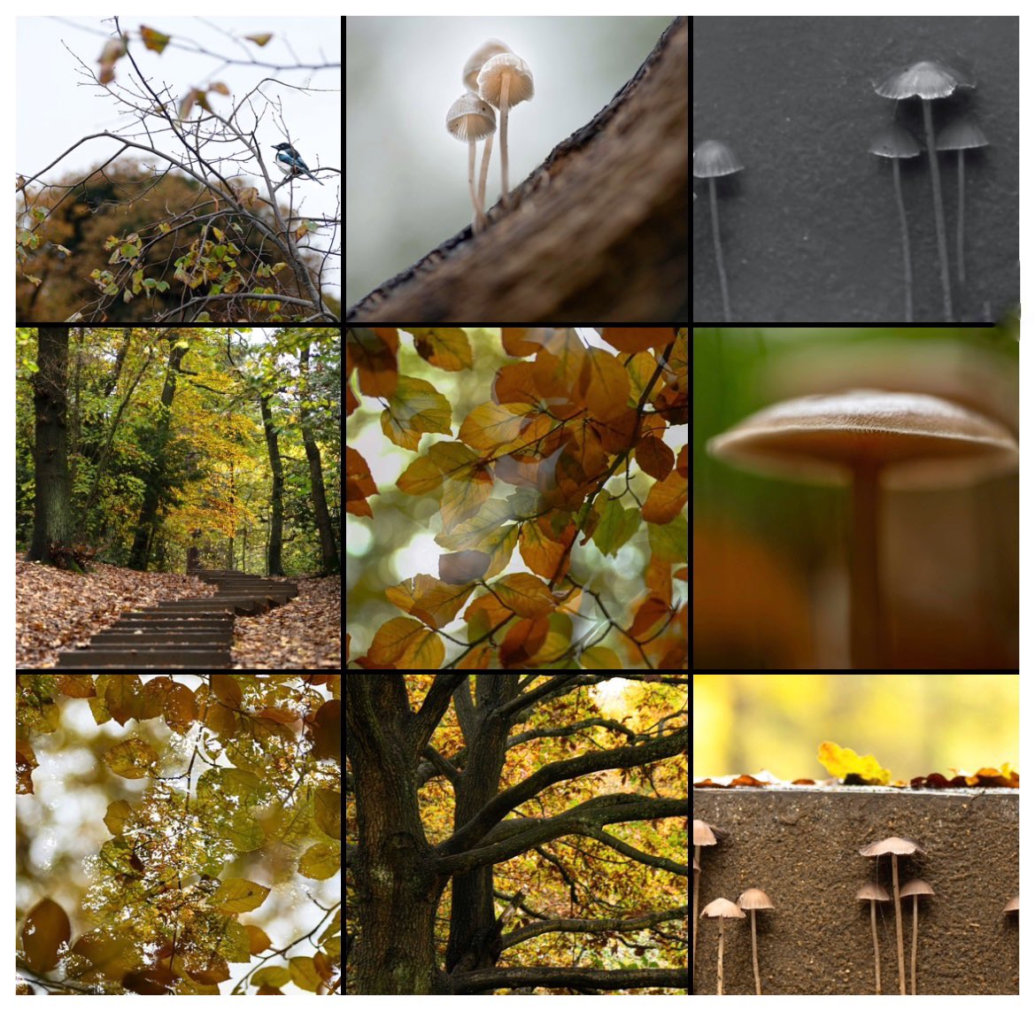 Karin Tearle tweet media