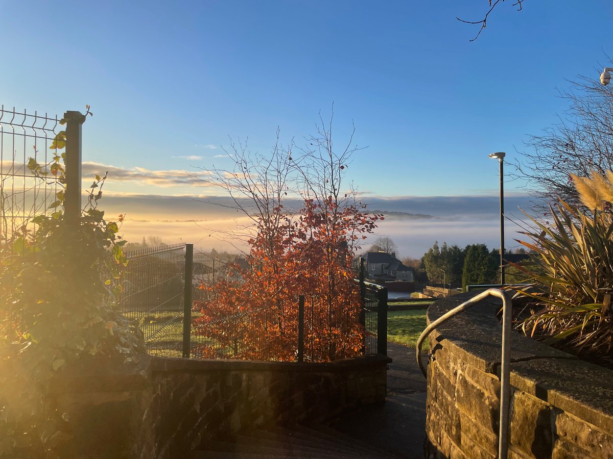 Mrs M Morrison tweet media