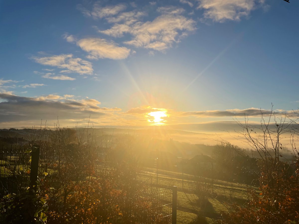 Mrs M Morrison tweet media