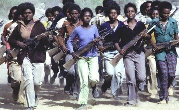 Global_Folder's tweet image. During the Eritrea wàr of independence over 30% of Eritrean Freedom Fighters during Eritrea&apos;s wàr of independence were wòmen.
