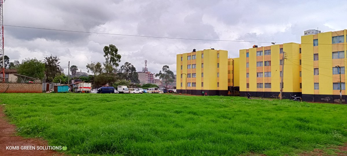 POWER OF GREEN SPACES:
Finally, Gree spaces can positively impact the health of communities and cities. Access to Green spaces has been linked to improve mental Health reduced stress and  increased physical activity., and this is how parks and Public Spaces Promotes happiness