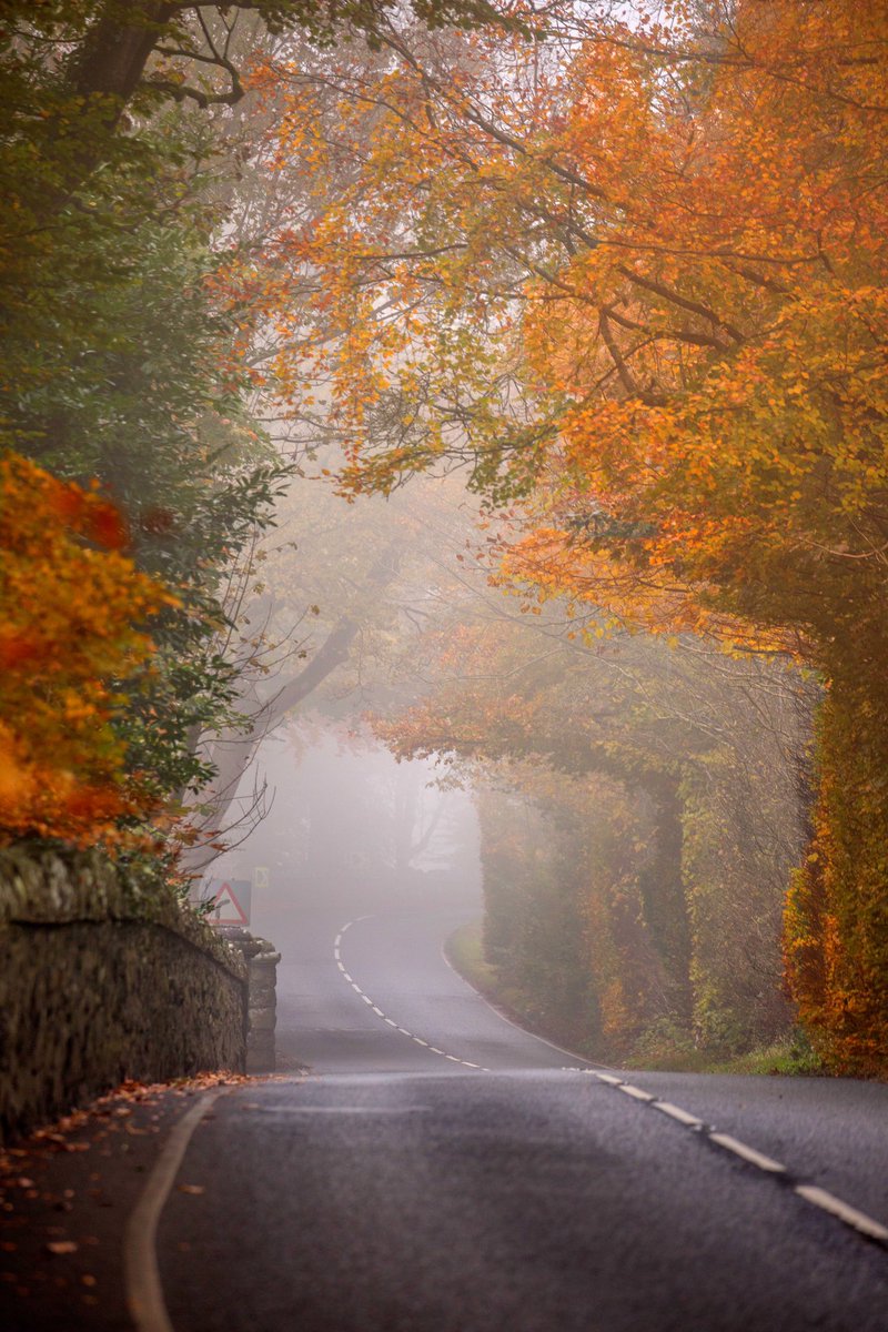 County Antrim 
#Autumn #AutumnBeauty #fall #countyantrim #NorthernIreland #Ireland