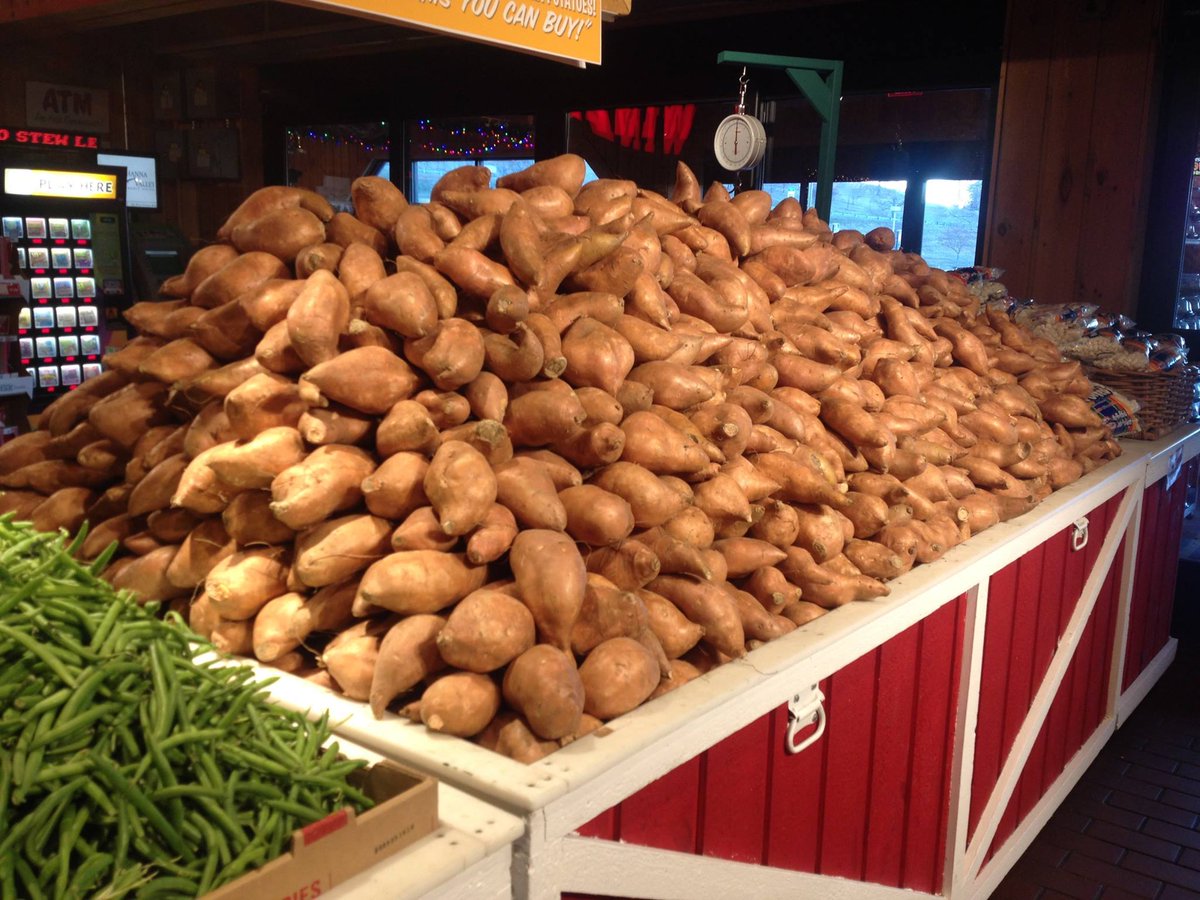 StewLeonards's tweet photo. Do you think we have enough yams? ๐
Check out all our produce deals at https://t.co/WslFNj2AeX
#thanksgiving2023 #stewleonards #farmfreshfood https://t.co/wuivftf5nL