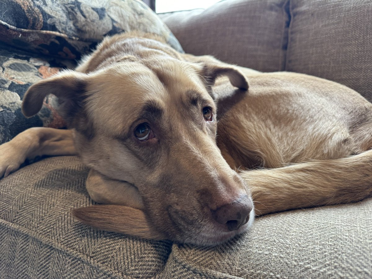 Kevin Murray - @Claystorm on Threads tweet media