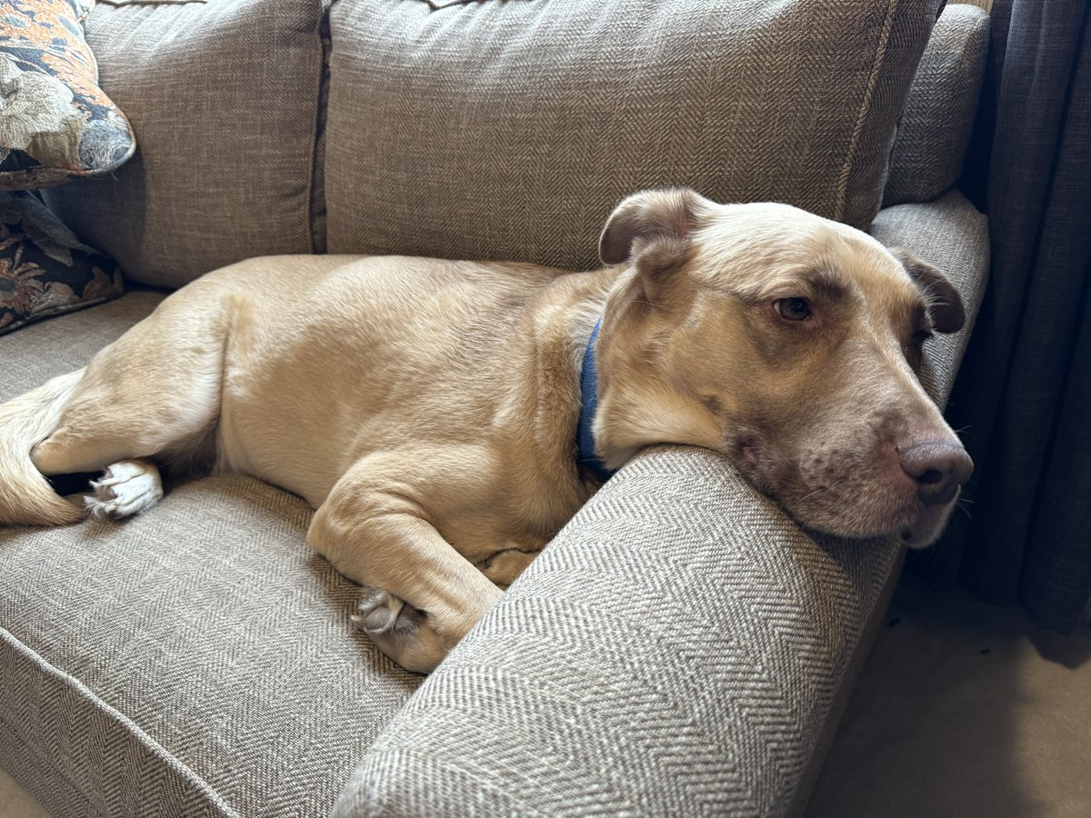 Kevin Murray - @Claystorm on Threads tweet media