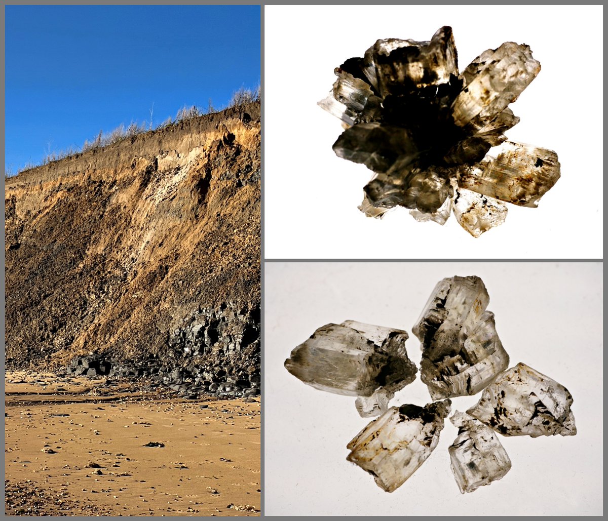 Roger Horton tweet media