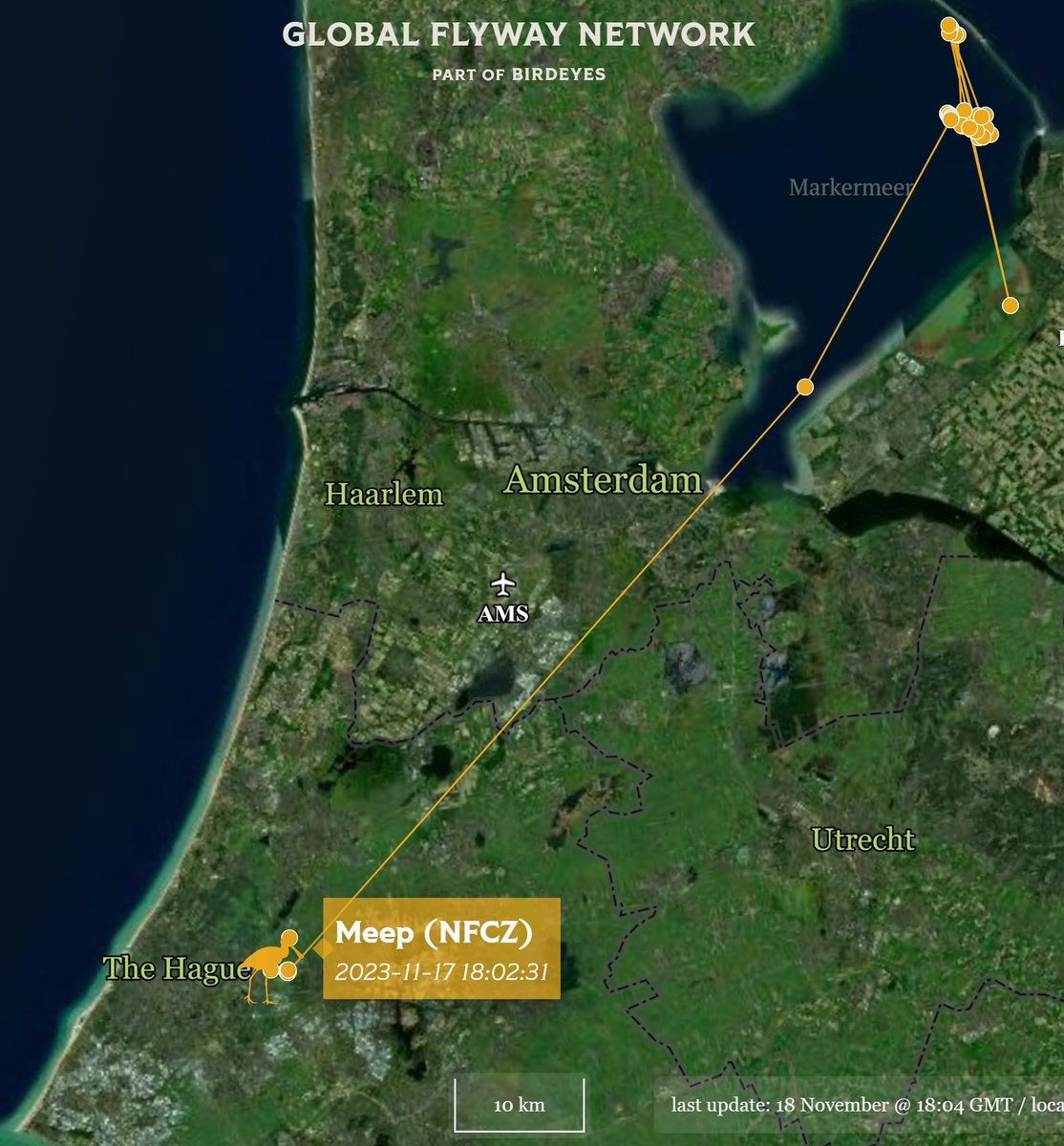 GlobalFlyway's tweet photo. In Nieuwe Driemanspolder bij Leidschendam zag Sjaak Schilperoort een gekleurringde #lepelaar. Het is MEEP, geboren op #Griend. Enkele maanden was hij bewoner van #IJsselmeer. Nu was MEEP alleen aan het foerageren en hij rustte in een groep meeuwen. https://t.co/bD8epUEU0Y https://t.co/1KP1Fqop8K