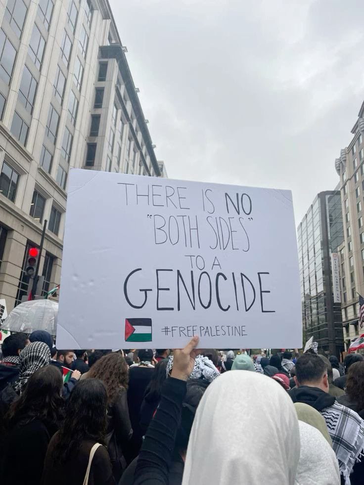 GCU_Palestine's tweet photo. Here are images capturing moments from numerous global protests expressing solidarity with Palestine.

#StandWithPalestine #EndGazaCrisis #SupportPalestine #CallForCeasefire #StopGenocideNow https://t.co/bIwV6USE0E