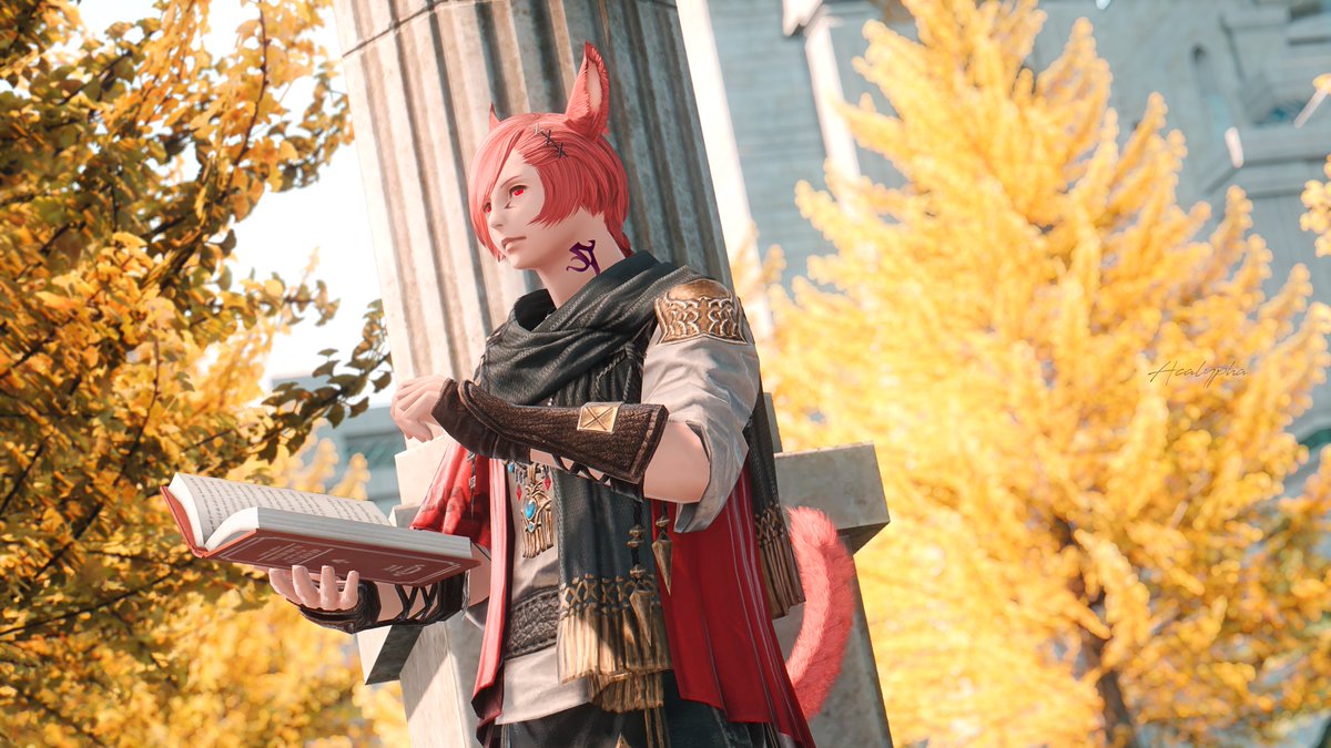 🐱☕📚

#Gposers | #GrahaTia | #Meteor | #WolGraha