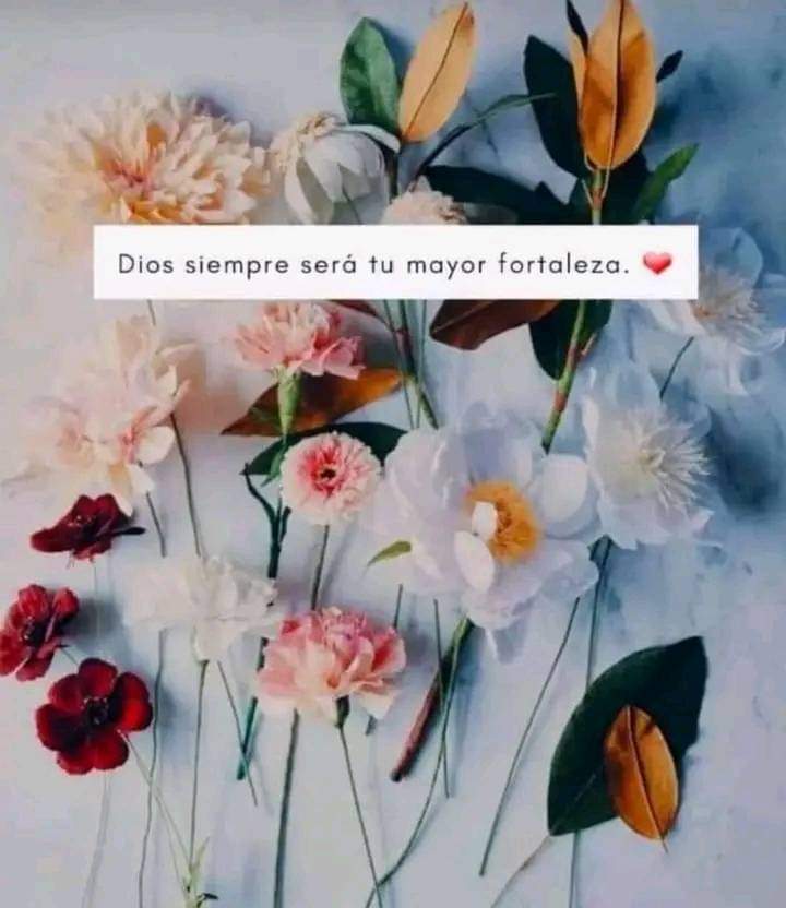 DelValleGreen's tweet photo. Siempre...💙💫🙏 https://t.co/WkkZw2FU30