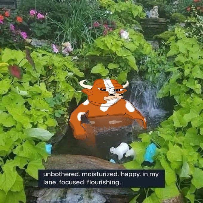 Whale Factor tweet media