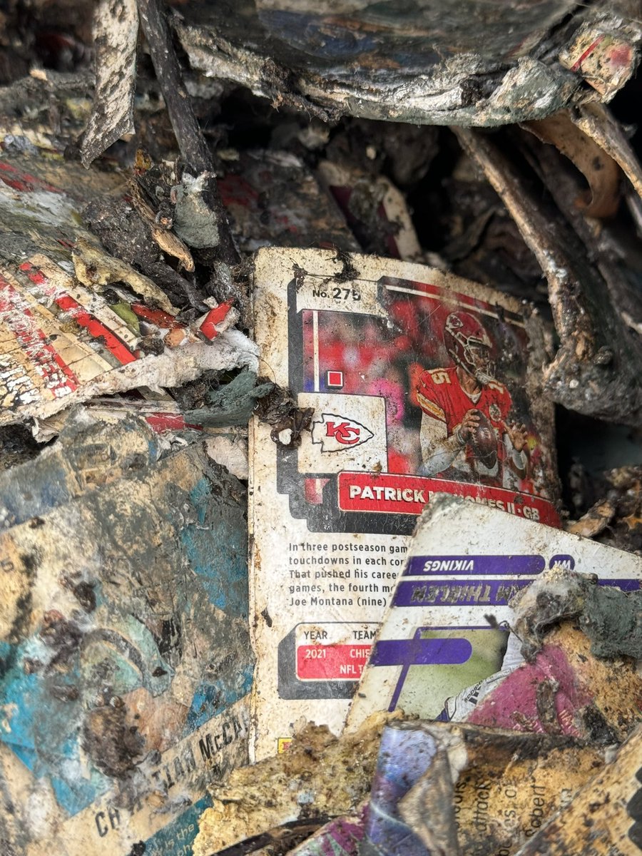CompostingCards's tweet image. Patrick Mahomes in compost. #CompostCards #GreenHobby @PatrickMahomes