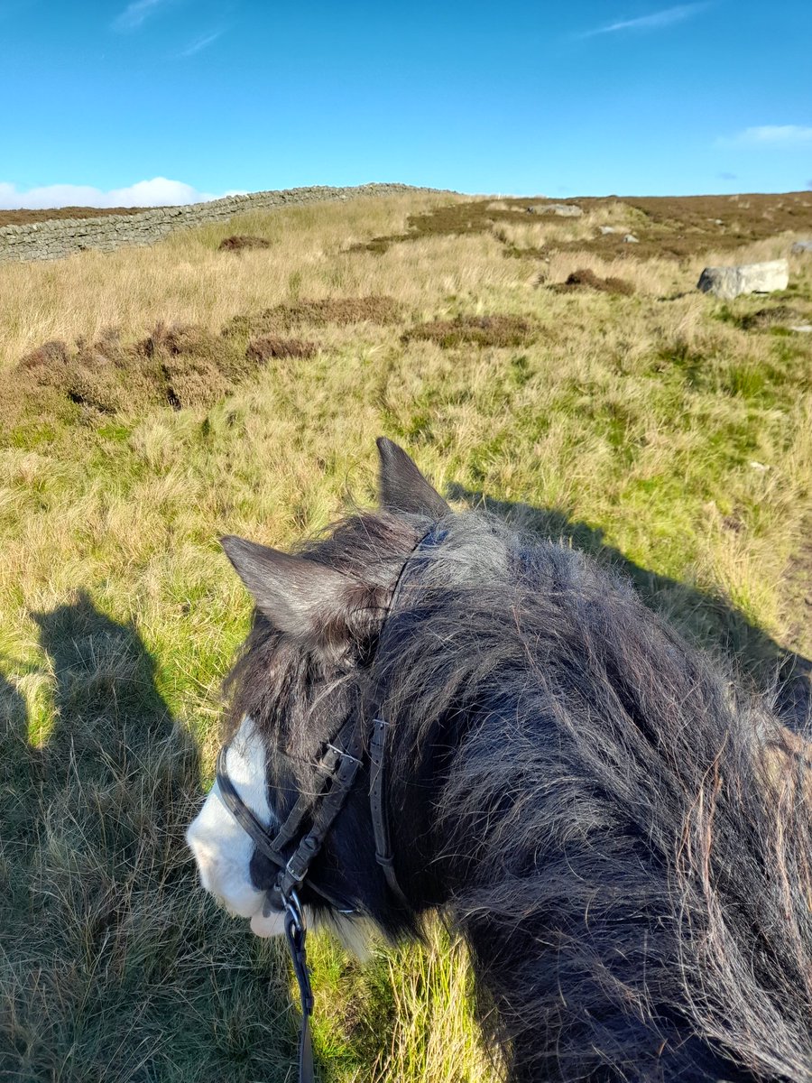 Dawn Drury tweet media