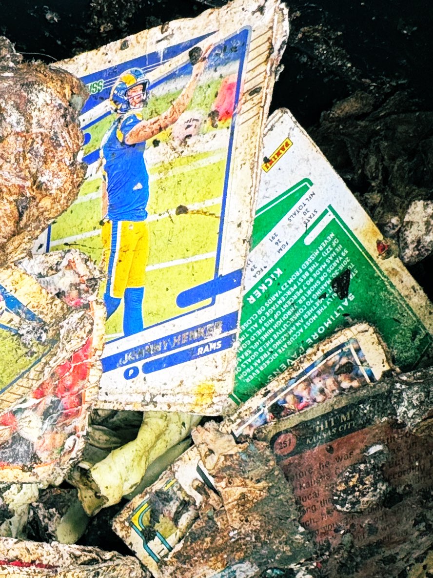 CompostingCards's tweet image. Johnny Hekker in compost.
#CompostCards #GreenHobby
@johnnyhekker