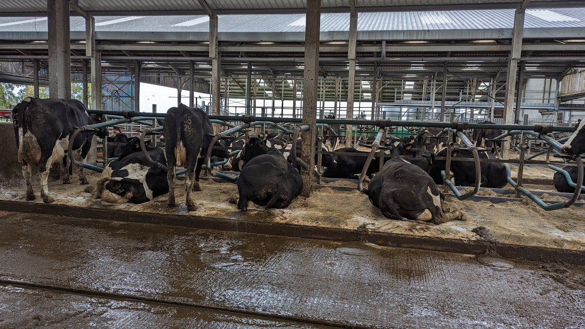 Great day <a href="/iasta/">IASTA</a> #agventure today <a href="/ucdlyonsfarm/">UCD Lyons Farm</a> Thank you to all the speakers and contributers. Your expertise is always welcome and really helps with my understanding of the topics when I'm teaching. Thank you <a href="/PallasTb/">Tommy Boland</a> <a href="/DempseyDamien/">Damien Dempsey</a> Carol Cronin Kieran Meade and Leo