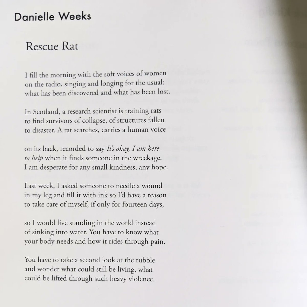 daniellekweeks's tweet photo. Truly honored to have my poem "Rescue Rat" in the new issue of @pleiadesmag , alongside so much stunning work!  ⛑️🐀 Excited to read the issue this weekend.

#poetry https://t.co/mp7gVyoMNH