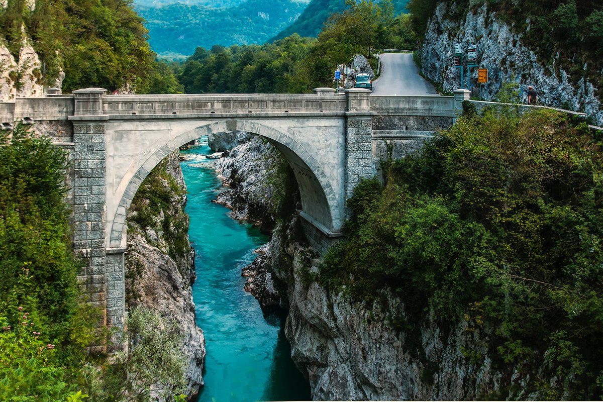 Amongst towering trees and dancing streams, find serenity. 🌳💧 #RiversideBliss #NaturePhotography #WorldcupFinal #LasVegasGP #SurvivingDiddy #FreePalestine #AUSvIND #OpenAI #Warner #INDvsAUSfinal #Abhisha #MissUniverso2023 #BabarAzam #Gill