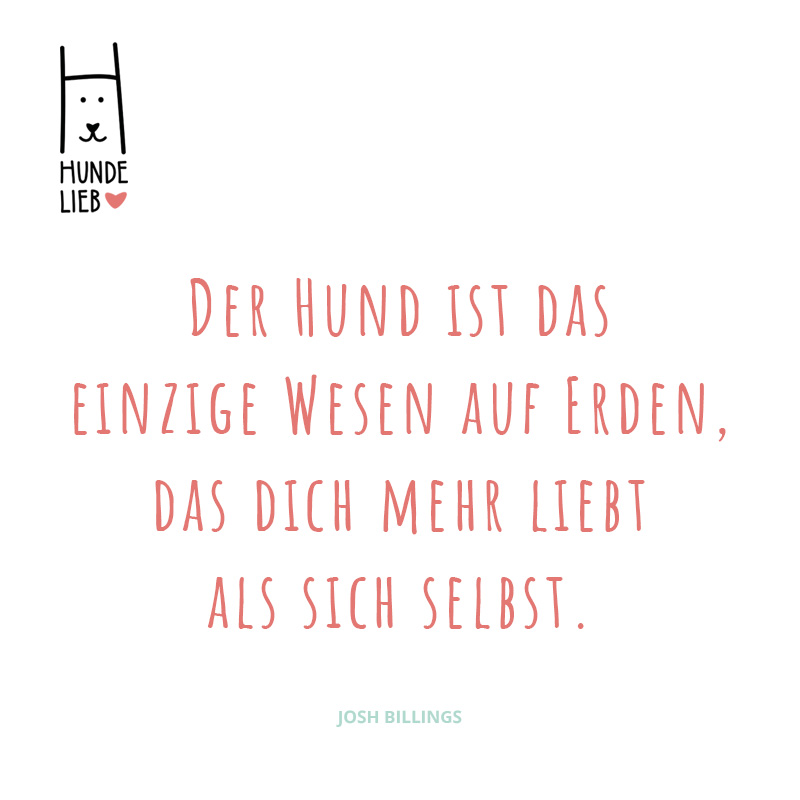 Glaubt ihr, es ist so? ❤🐕

#hundesprüche #hundezitate #hundelieb #dogsharing #dogfluencer #dailydoseofdog #dogsharingdeutschland #dogsharingösterreich #dogsharingschweiz #hund #hunde #hundeliebe #hundefreunde #teilzeithund #leihhund #hundleihen #hundeleben #hundeglüc