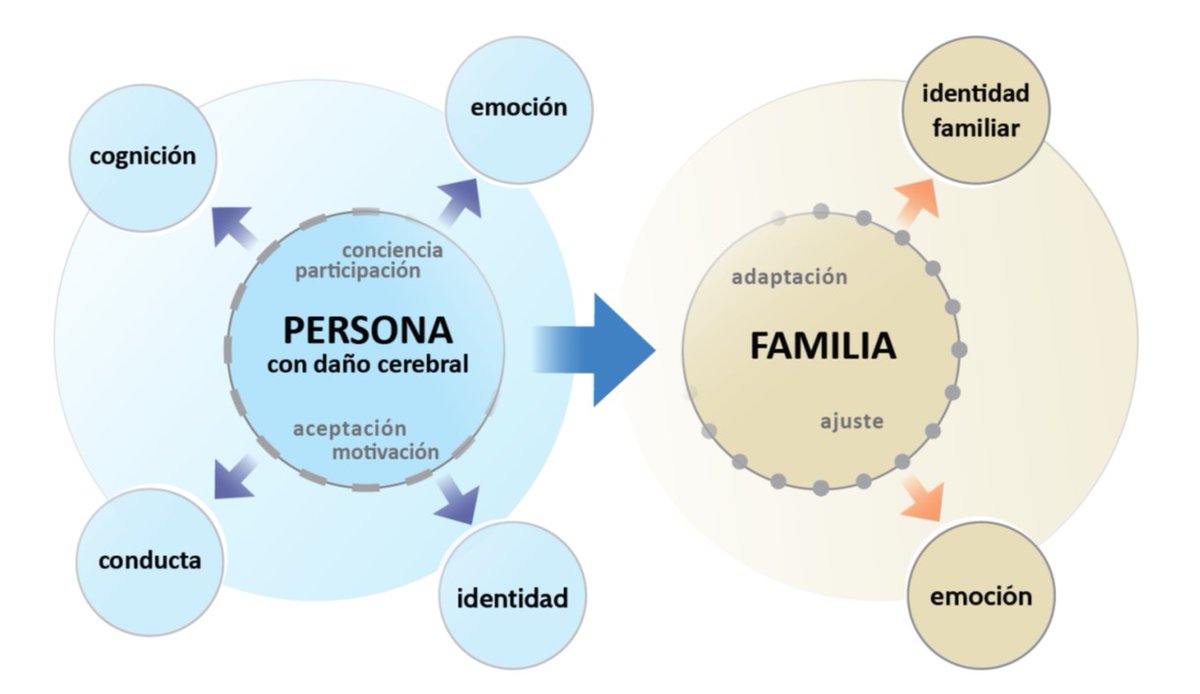 #rehabilitación #neuropsicológica 

Más allá de la cognición...   

Más allá de la persona...

researchgate.net/publication/37…