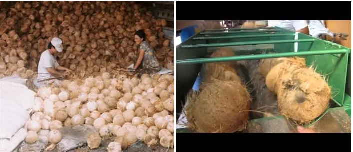 BriskonImpex's tweet image. COCONUT shell powder Available with High Quality and BEST grade
#Coconutshellpowder
#HighQuality